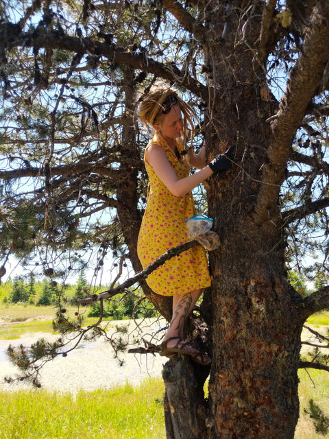 Who is April Graham? – She Is Of The Woods