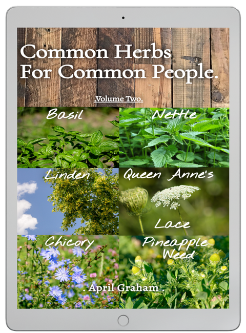 Common Herbs For Common People- Volume Two - EBOOK