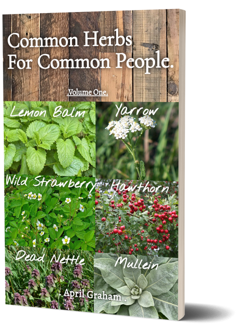 Common Herbs For Common People- Volume One - PAPERBACK