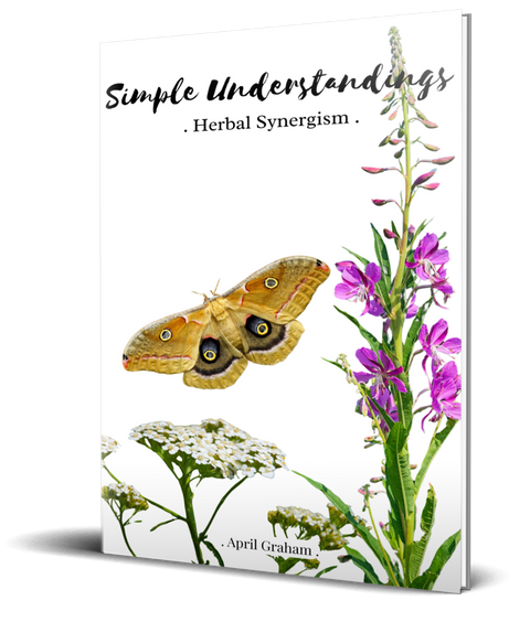 Simple Understandings - Herbal Synergism - PAPERBACK