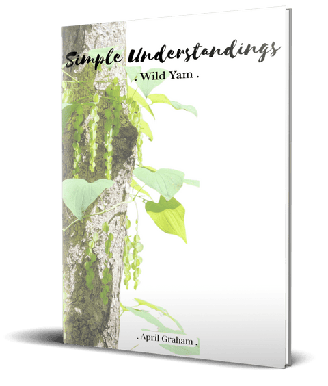 Simple Understandings - Wild Yam - PAPERBACK
