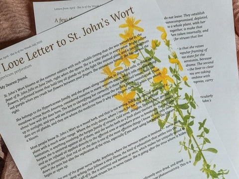 Letters From April